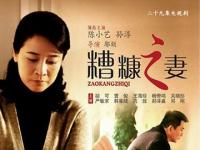 我的糟糠之妻，2010年由陈小艺、孙淳主演的电视剧