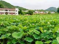 建阳区，中华人民共和国福建省南平市市辖区