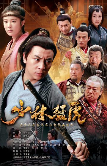 武林猛虎，2013年释小龙主演的中国古装剧