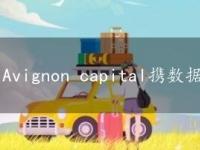 Avignon capital携数据中心进军阿姆斯特丹市场