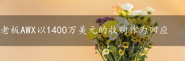 老板AWX以1400万美元的收购作为回应