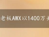 老板AWX以1400万美元的收购作为回应