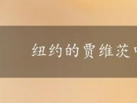 纽约的贾维茨中心变成了医院