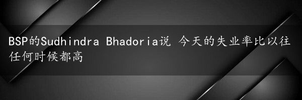 BSP的Sudhindra Bhadoria说 今天的失业率比以往任何时候都高