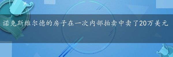 诺克斯维尔德的房子在一次内部拍卖中卖了20万美元