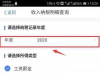 如何在个人所得税APP中查看自己的纳税记录