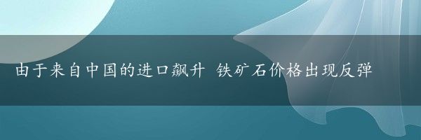 由于来自中国的进口飙升 铁矿石价格出现反弹