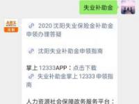 失业金领取攻略：线上申领全流程及注意事项