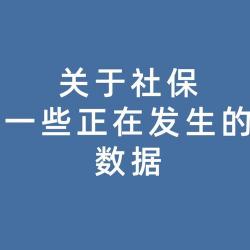 城乡居民社会养老保险与社保的区别及双重待遇问题