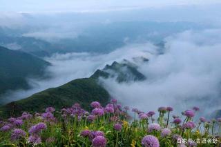 藤龙山原生态自然风景区：险峻山石与丰富生态的完美融合