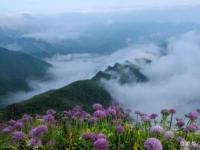 藤龙山原生态自然风景区：险峻山石与丰富生态的完美融合