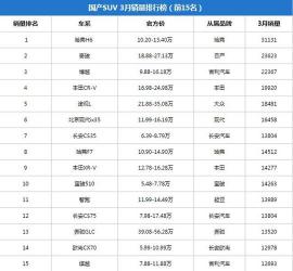 一月汽车销量排行榜：市场寒冬中的亮点车型