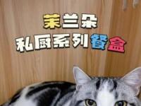 小猫吃鱼：一道美味营养的儿童餐