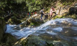 百丈崖原始森林探险景区：青山绿水的自然之美