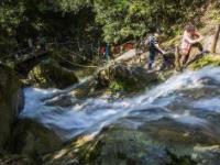 百丈崖原始森林探险景区：青山绿水的自然之美