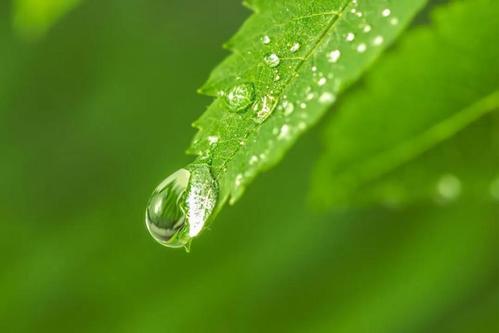 谷雨诗韵传千古，最美诗篇尽在此