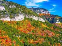 仙台山风光无限好，太行山美景尽收眼底——AAAA级仙台山景区邀您共赏自然奇观