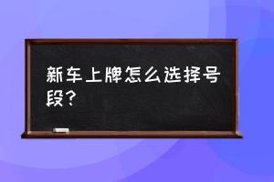 新车上牌选号不再迷茫：实用技巧大公开