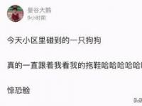 ‘3回复’是什么意思？解读网络新梗，轻松get高情商回复技巧