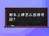 新车上牌选号不再迷茫：实用技巧大公开