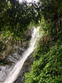 安徽宁国夏霖风景区，皖南第一大瀑布群与丰富动植物的原始生态天堂