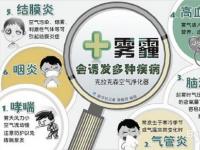 雾霾的危害：影响呼吸和心血管系统，损害皮肤