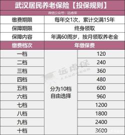 人寿保险险种详解：定期寿险、终身寿险、生死两全保险、年金保险和养老保险的特点和选择