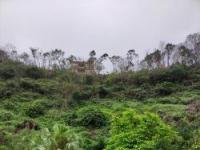 湖光岩风景区：湛江的火山口明珠和自然氧吧