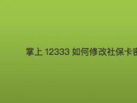 社保卡挂失电话：12333，快速解决卡片遗失问题