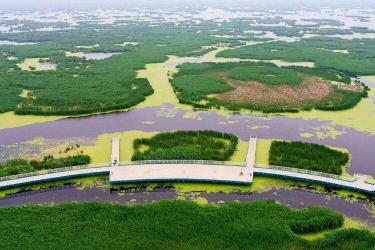 大青沟：科尔沁草原的绿色明珠，旅游度假胜地