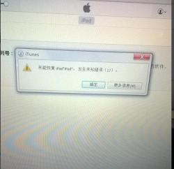 解决之道：当iPad显示“已停用连接iTunes”时该怎么办？