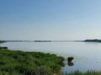 衡水湖：河北著名的湖泊湿地，乘船游湖和观赏动植物的好去处