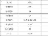 五险一金个人缴纳比例大揭秘：了解你需要承担多少