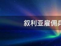 雇佣兵是什么：漂流瓶雇佣兵梗的内涵和来源解析