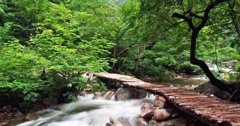 小龙山风景区：神奇百兽园与太平天国传说，交通便捷自驾游首选