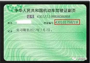 驾驶证档案编号查询：方法与重要性解析