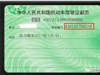 驾驶证档案编号查询：方法与重要性解析