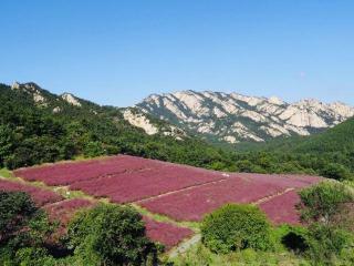 昆嵛山：山东的世外桃源，探寻自然与历史的完美融合