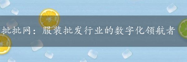 批批网：服装批发行业的数字化领航者