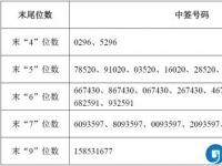 股票中签查询：方法及注意事项