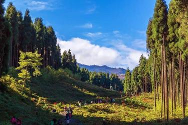 鸡冠山探秘：自驾游、徒步探险的好去处，免费开放！