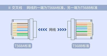 六类水晶头解析：结构、网速与适用性