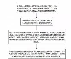 个人第一次办理社保卡：全流程指南与时间预估