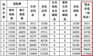 人寿保险退保计算公式大揭秘：如何准确算出你的退保金额？