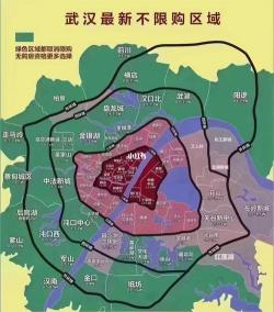 武汉四大远城区解除限购：激活市场，满足刚需