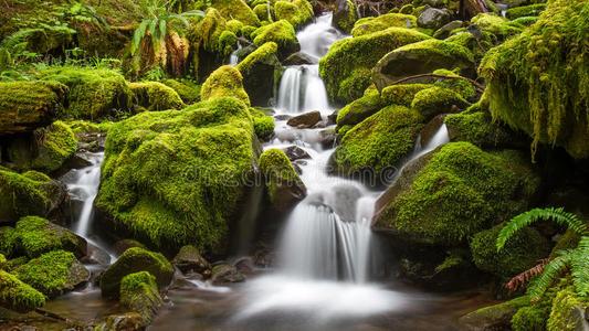 高山牧场：阿尼玛卿山脚下的绿色宝藏与文化风情