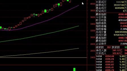 股票怎么看：从技术面与基本面全面解析