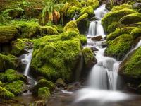 高山牧场：阿尼玛卿山脚下的绿色宝藏与文化风情