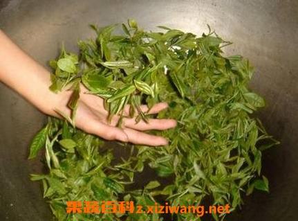 如何炒茶叶：从采摘到品茗的详细指南