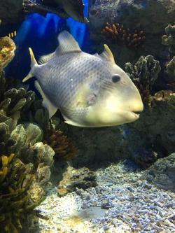 罗源湾海洋世界：探索海洋生物多样性的理想之地